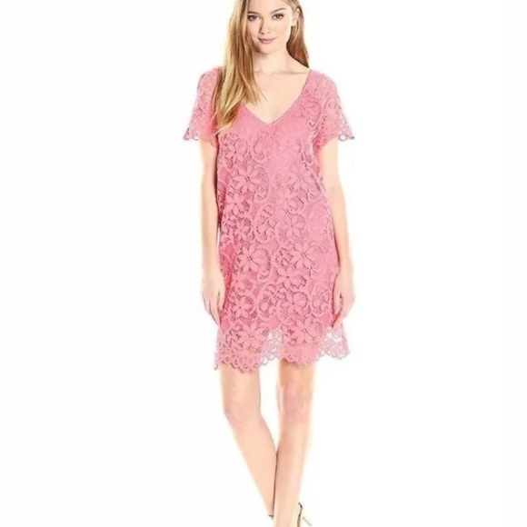 BB Dakota Coral Peach Lace Rene Shift Dress - Picture 6 of 16